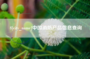 宝应县中国消防产品信息查询