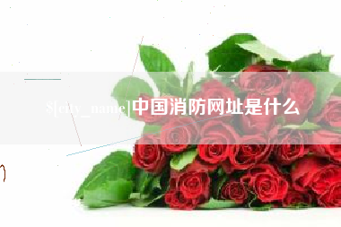 宝应县中国消防网址是什么