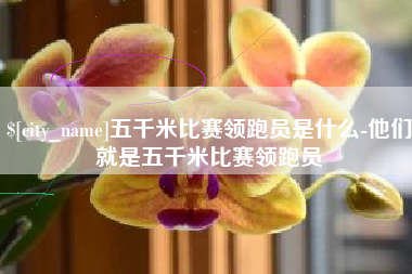 宝应县五千米比赛领跑员是什么-他们就是五千米比赛领跑员