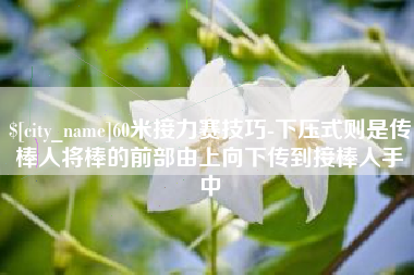 宝应县60米接力赛技巧-下压式则是传棒人将棒的前部由上向下传到接棒人手中