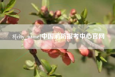 宝应县中国消防报考中心官网