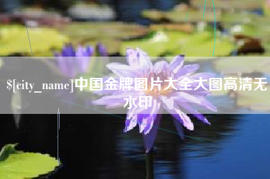 宝应县中国金牌图片大全大图高清无水印