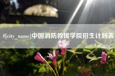 宝应县中国消防救援学院招生计划表