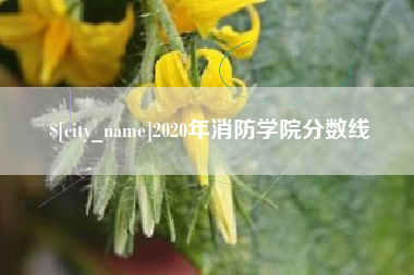 宝应县2020年消防学院分数线