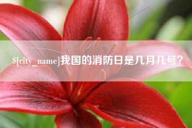 宝应县我国的消防日是几月几号？