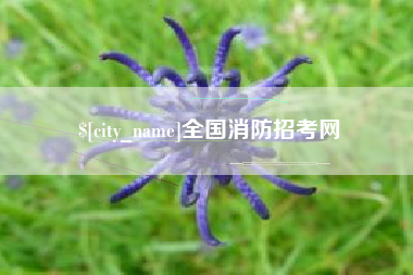 宝应县全国消防招考网