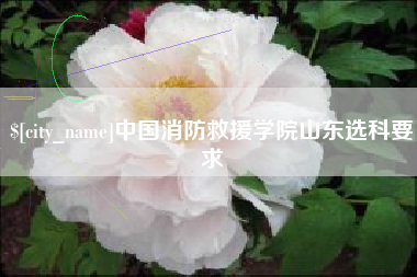 宝应县中国消防救援学院山东选科要求
