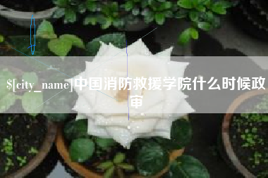 宝应县中国消防救援学院什么时候政审
