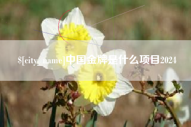 宝应县中国金牌是什么项目2024