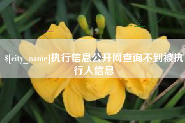 宝应县执行信息公开网查询不到被执行人信息