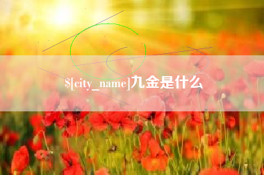 宝应县九金是什么