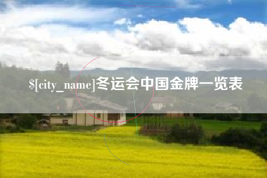 宝应县冬运会中国金牌一览表