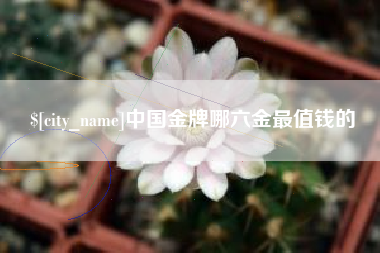 宝应县中国金牌哪六金最值钱的