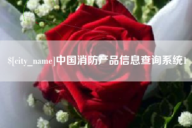 宝应县中国消防产品信息查询系统1