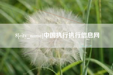 宝应县中国执行执行信息网