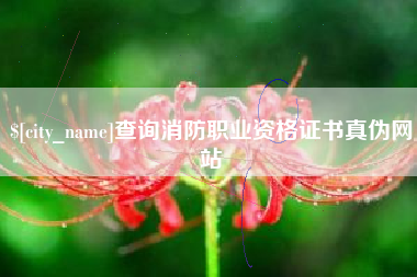 宝应县查询消防职业资格证书真伪网站