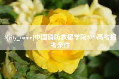宝应县中国消防救援学院2020高考报考条件
