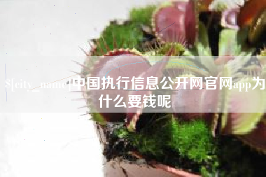 宝应县中国执行信息公开网官网app为什么要钱呢
