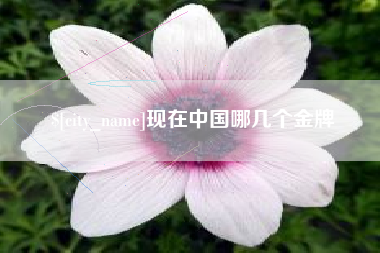 宝应县现在中国哪几个金牌
