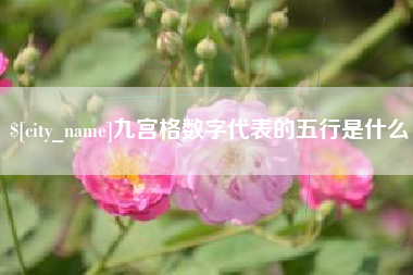宝应县九宫格数字代表的五行是什么
