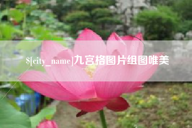宝应县九宫格图片组图唯美