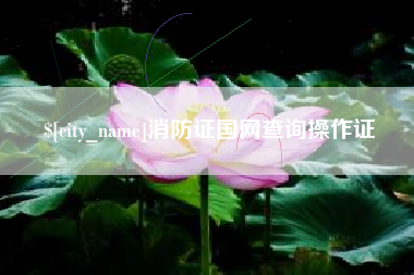 宝应县消防证国网查询操作证