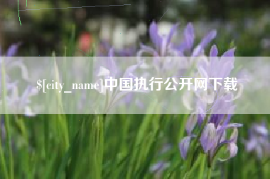 宝应县中国执行公开网下载