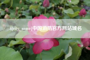 宝应县中国消防官方网站域名