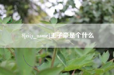 宝应县王子豪是个什么