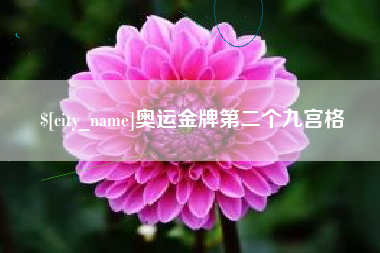 宝应县奥运金牌第二个九宫格
