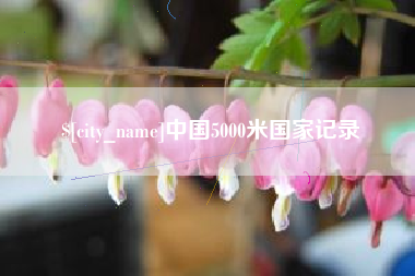 宝应县中国5000米国家记录