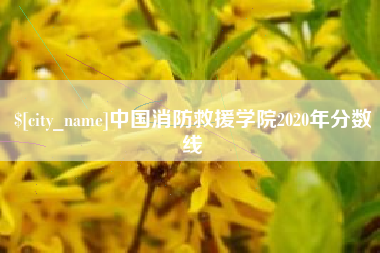宝应县中国消防救援学院2020年分数线