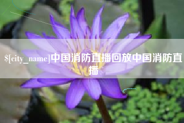 宝应县中国消防直播回放中国消防直播