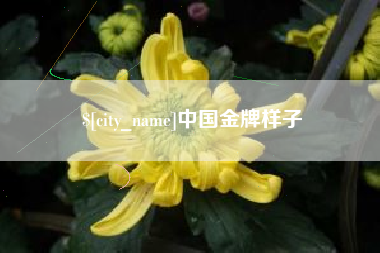 宝应县中国金牌样子
