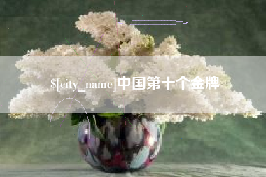 宝应县中国第十个金牌