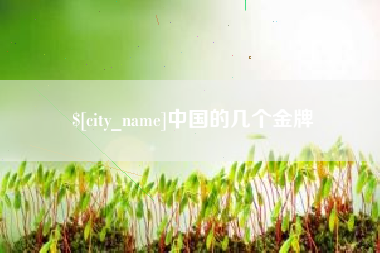 宝应县中国的几个金牌