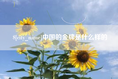 宝应县中国的金牌是什么样的