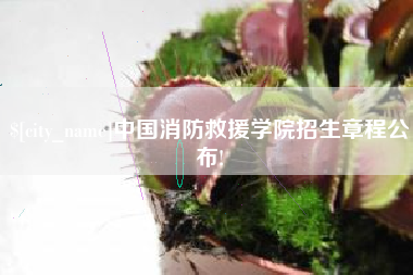 宝应县中国消防救援学院招生章程公布!