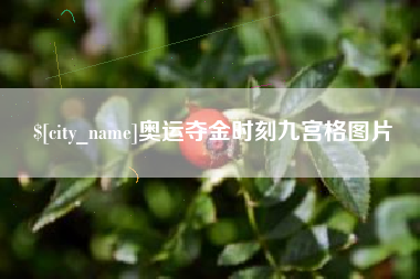 宝应县奥运夺金时刻九宫格图片