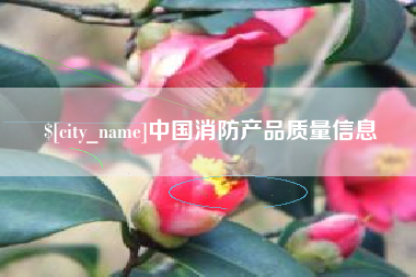 宝应县中国消防产品质量信息