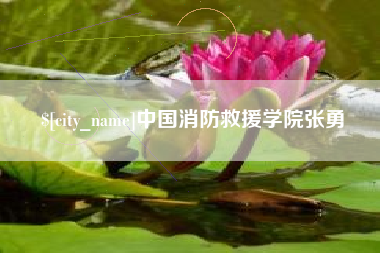 宝应县中国消防救援学院张勇