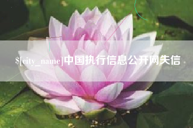 宝应县中国执行信息公开网失信