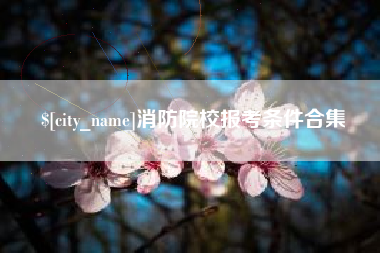 宝应县消防院校报考条件合集