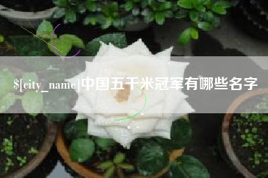 宝应县中国五千米冠军有哪些名字
