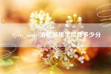 宝应县消防救援学院要多少分