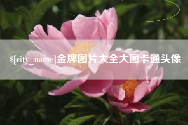 宝应县金牌图片大全大图卡通头像