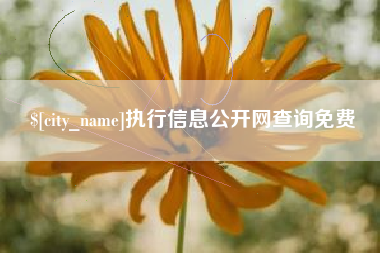 宝应县执行信息公开网查询免费